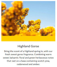 Highland-Gorse-Info