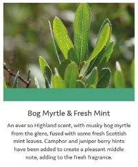 Myrtle-fresh-Mint-Info
