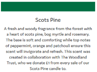 Scots-Pine